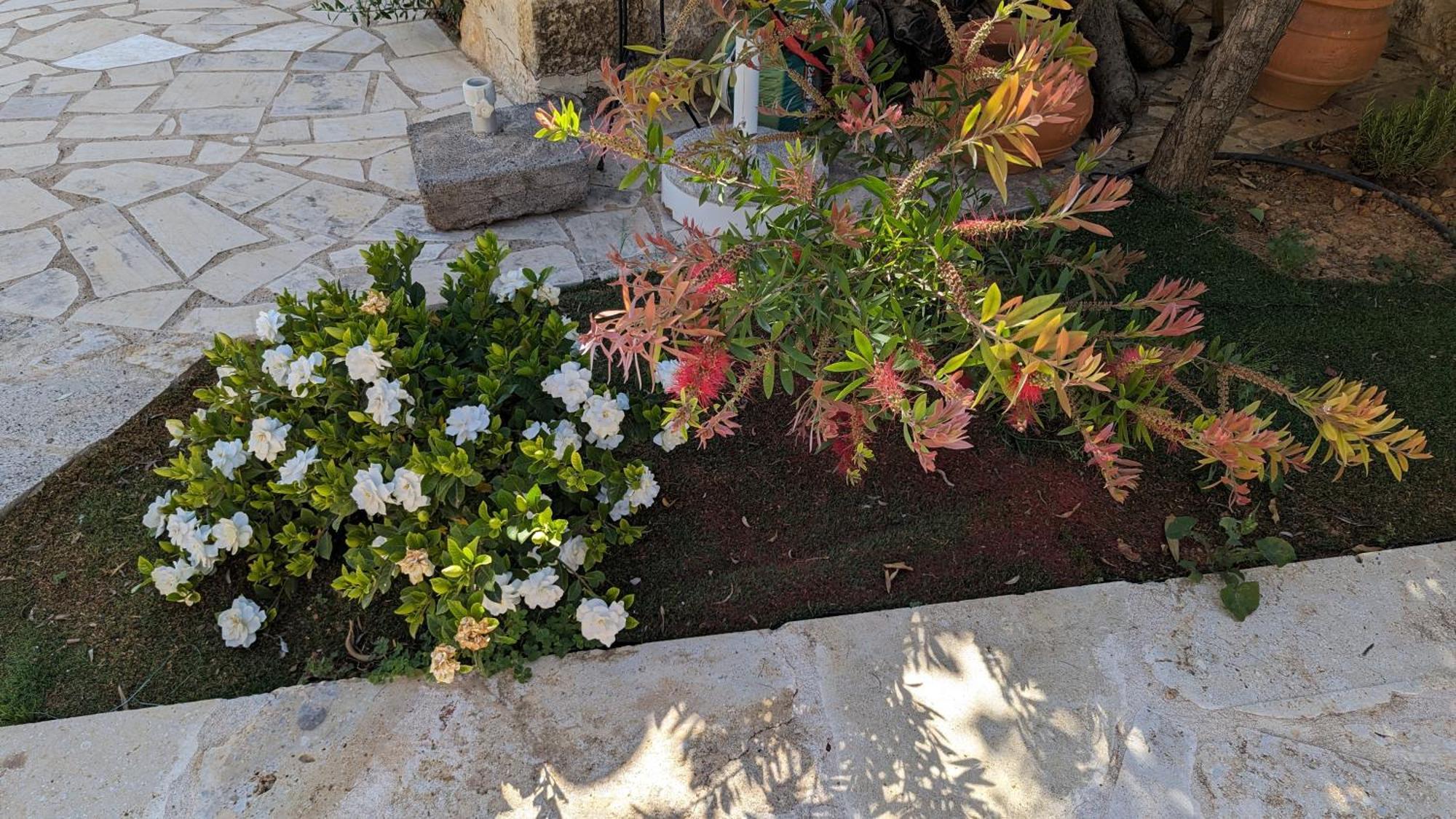 Magnificent, Authentic Private Villa And The Guest House Καρδαμύλη Εξωτερικό φωτογραφία